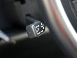 Img 8781